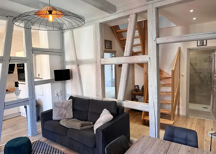 Villa Le Wickram à Colmar